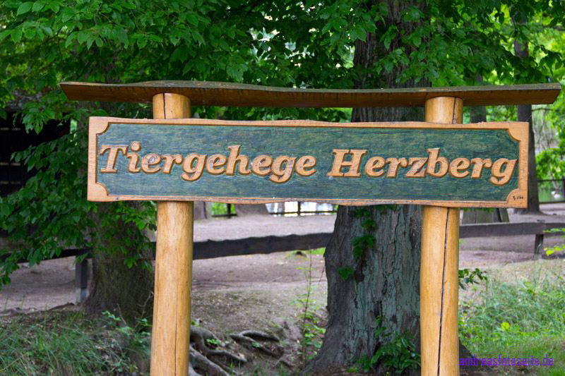 Schlo Herzberg (14)