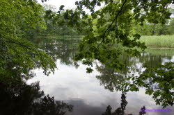 Schlo Herzberg (7)
