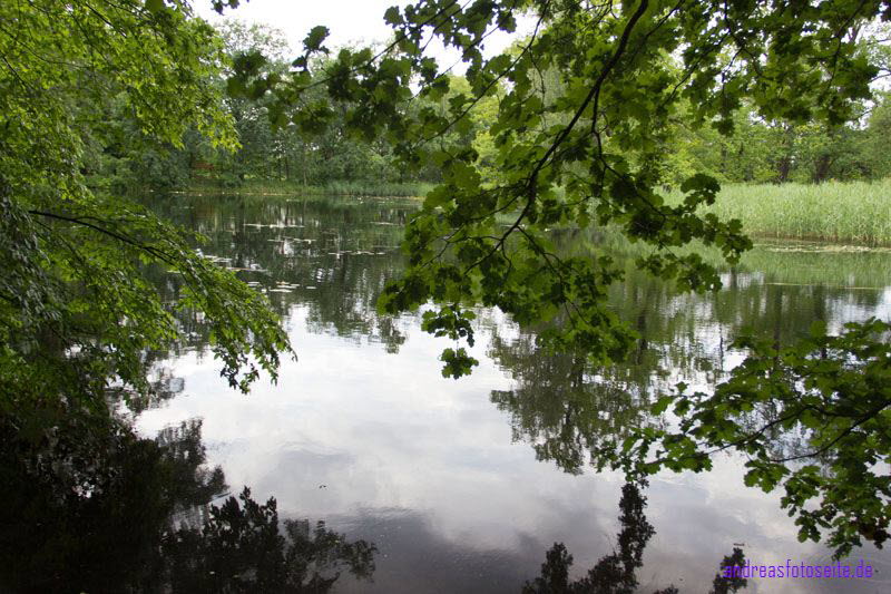 Schlo Herzberg (7)
