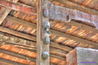 Signale