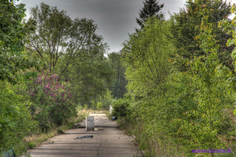 Strasse6