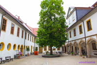 Tenneberg 13