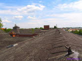 Tuchfabrik (53)