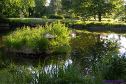 Uebigau17