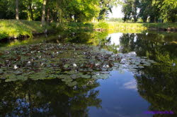 Uebigau20