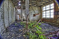 WWerke (27)