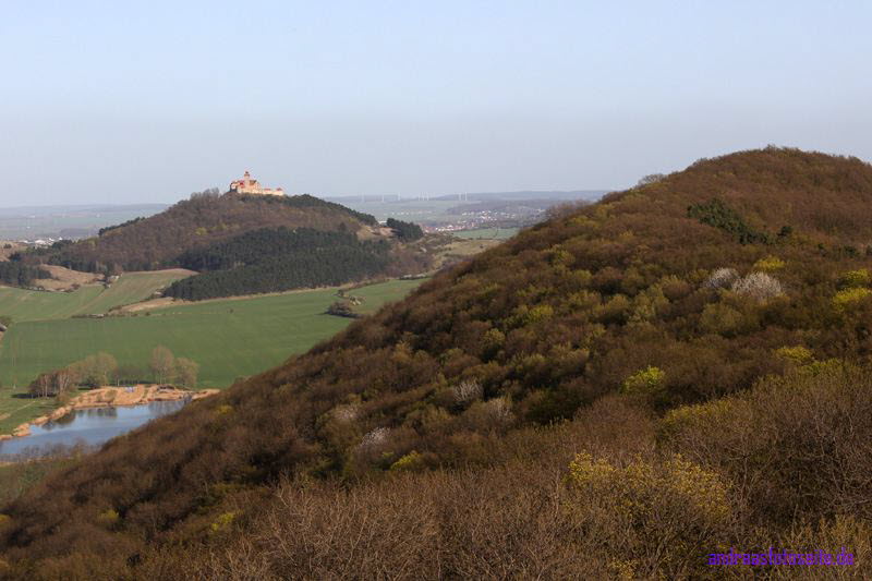 Wachsenburg (3)