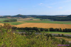 Wachsenburg (5)