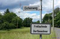 Freilaufende...
