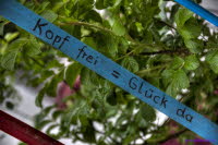 Kopf frei-Glck da.