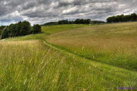 Westerwald