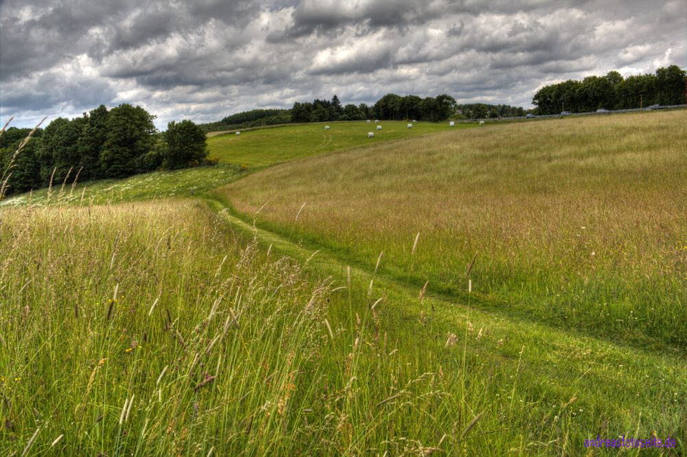 Westerwald