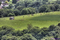 Westerwald