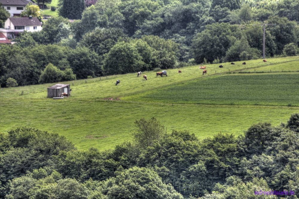 Westerwald