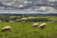 Westerwald