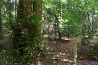 Westerwald