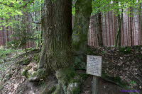 Westerwald