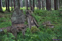 Westerwald
