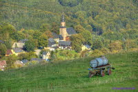 Wildbach