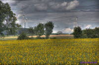 Windenergie