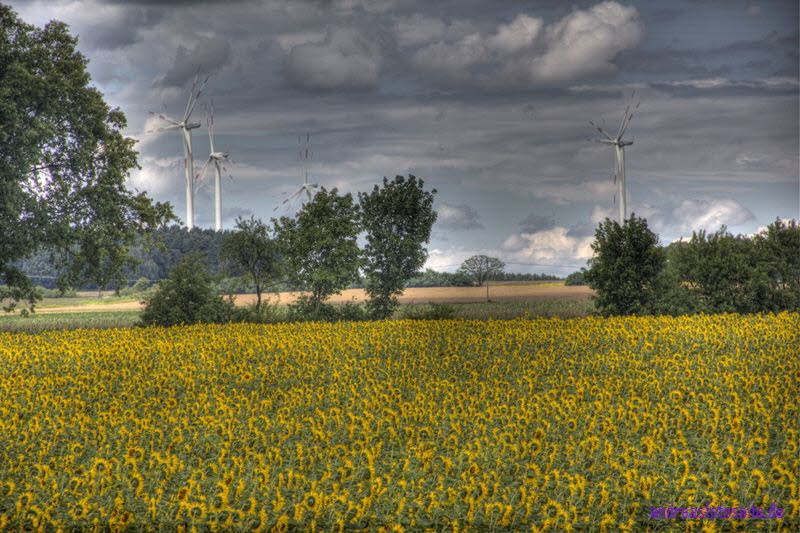 Windenergie