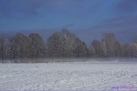Staupitzer Winter