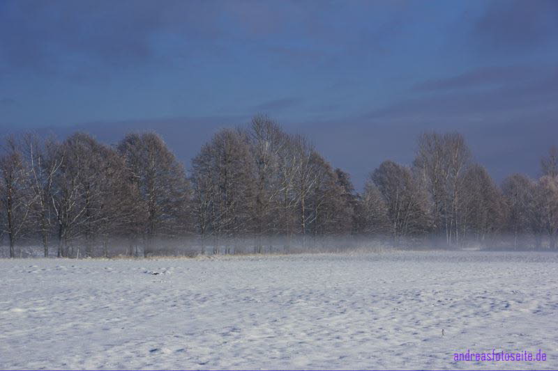 Staupitzer Winter