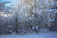 Staupitzer Winter