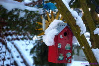 Winter am Lauch