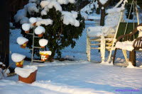 Winter am Lauch