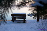 Winter am Lauch