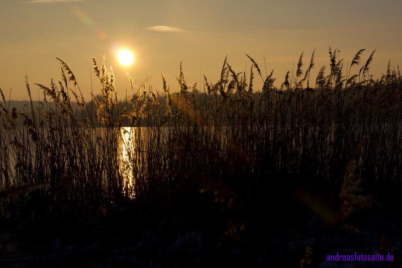 Winter am Lauch