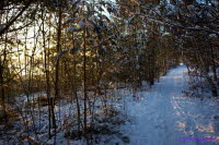 Winter am Lauch
