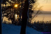 Winter am Lauch