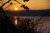 Winter am Lauch