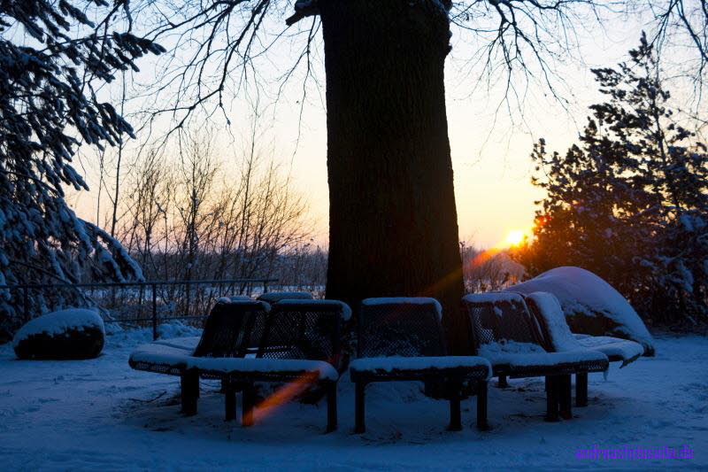 Winter am Lauch